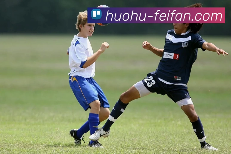 非凡娱乐服务体系